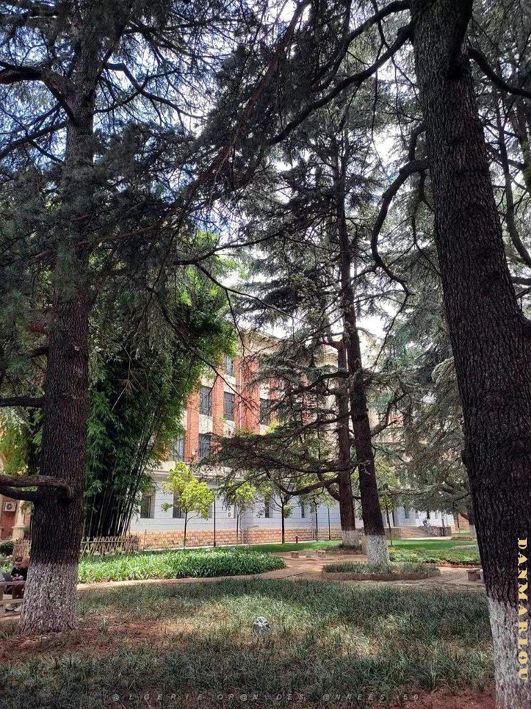 Kunming - Universite du Yunnan (53).jpg